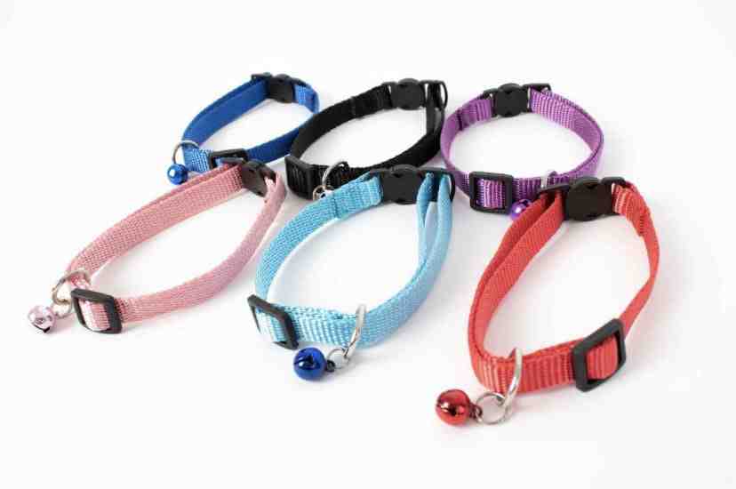 COLLG0074 collar gato rascals x unidad 